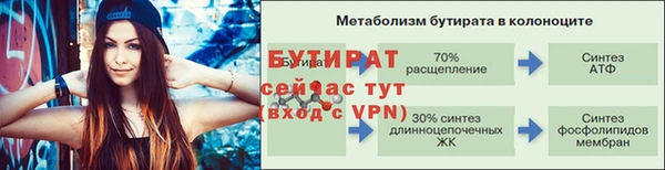 ПСИЛОЦИБИНОВЫЕ ГРИБЫ Вязники