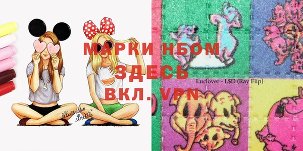 сатива Навашино