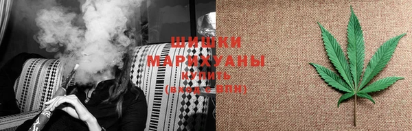 сатива Навашино