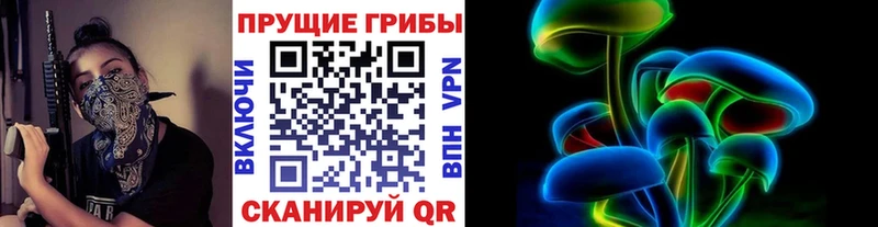 Псилоцибиновые грибы Psilocybe гидра сайт Королёв